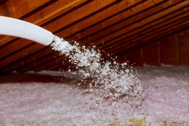 Best Residential Insulation in Belding, MI