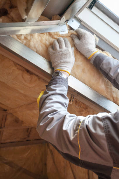 Best Commercial Insulation in Belding, MI