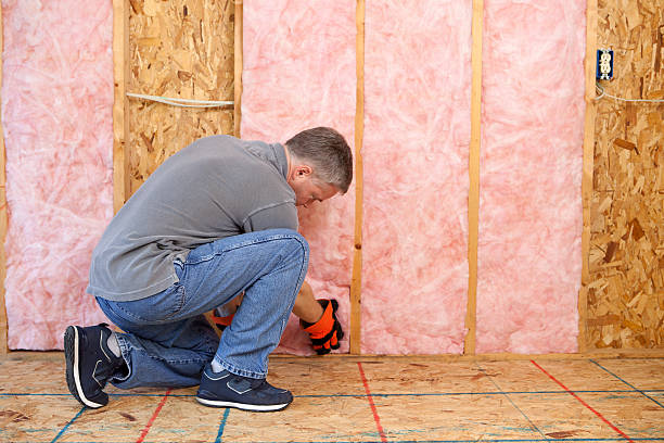 Professional Insulation Contractor in Belding, MI